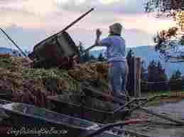 images-18.jpeg image